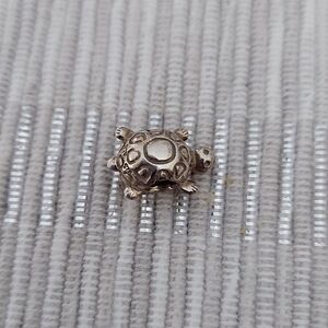 Pandora Charms - These 2 have been sold